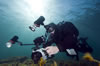 Whyalla Cuttlefish Spawning July 2009